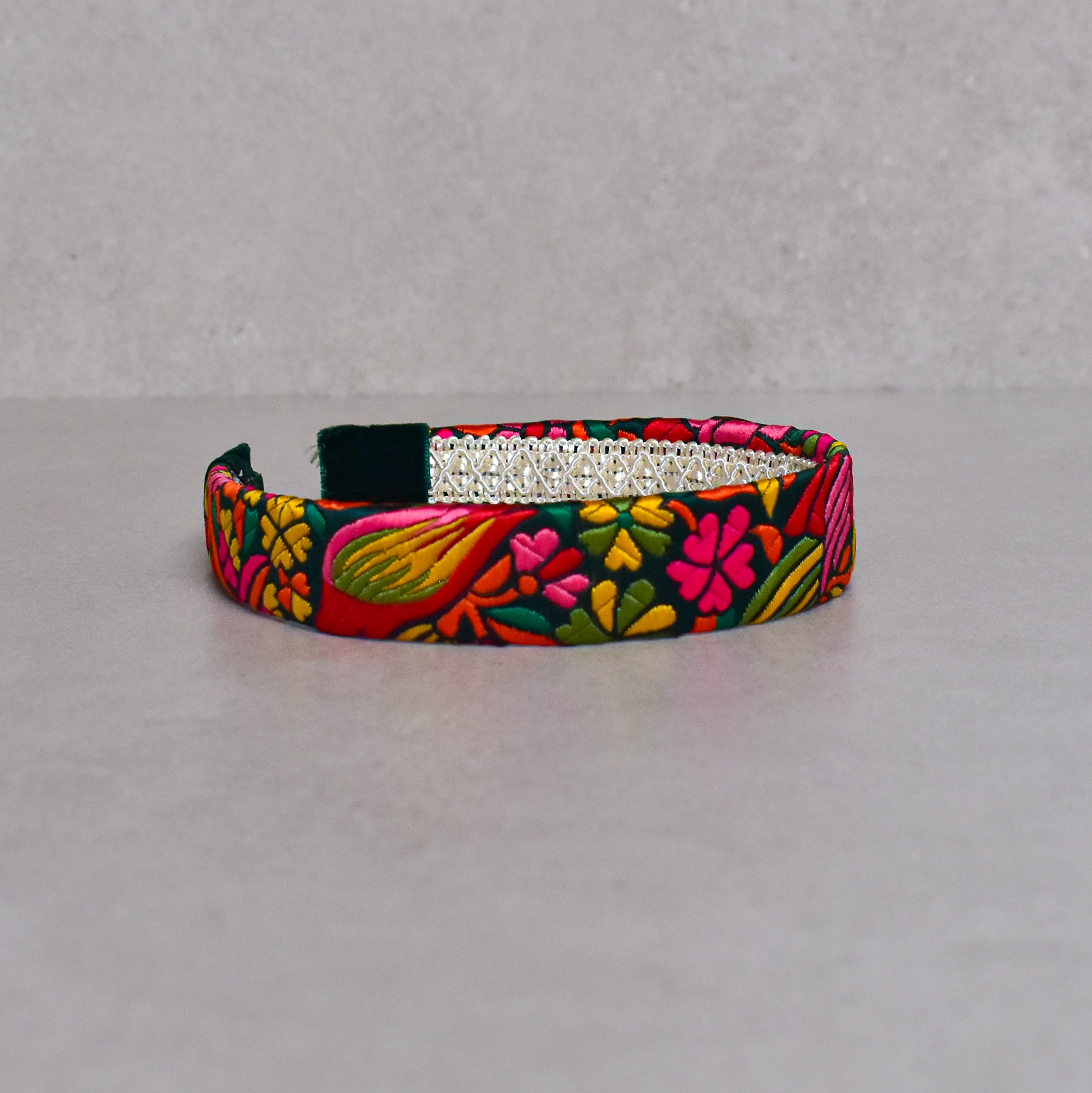 Cintillo, Parrot colorfull