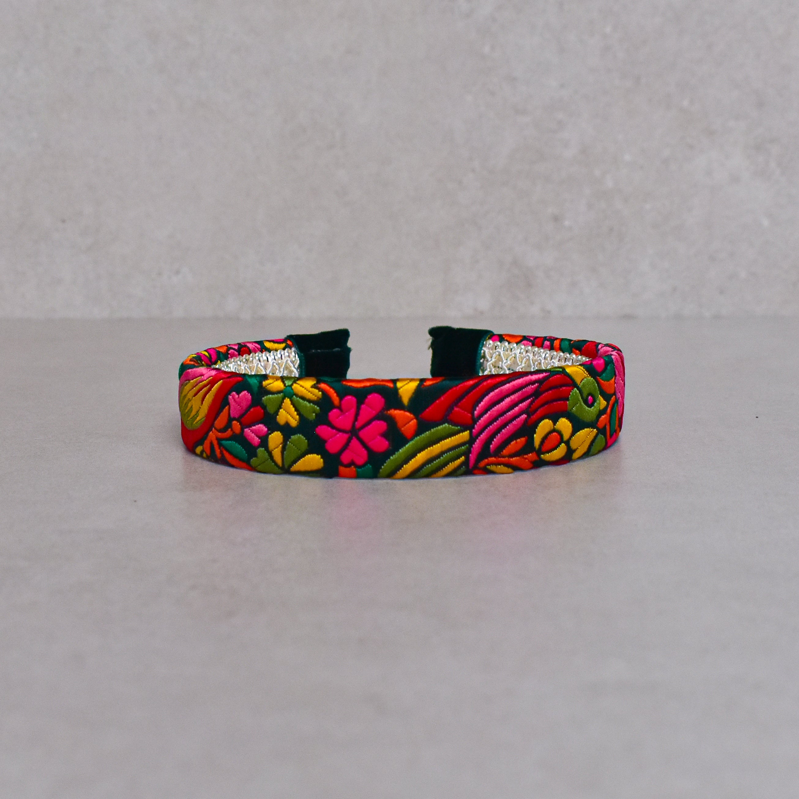 Cintillo, Parrot colorfull